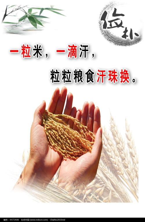 艾塞克斯大学文凭毕业证怎么买到